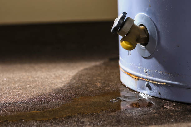 Best Carpet and Upholstery Water Damage Restoration in Deer Park, WA