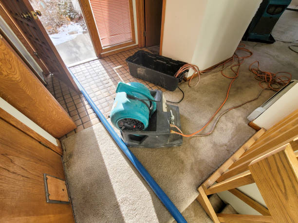 Best Commercial Water Damage Restoration in Deer Park, WA