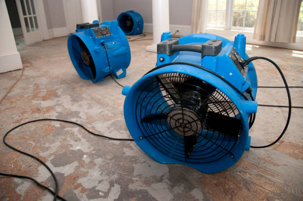 Trusted Water Damage Restoration in Deer Park, WA | Fast, Reliable, and Ready to Assist You